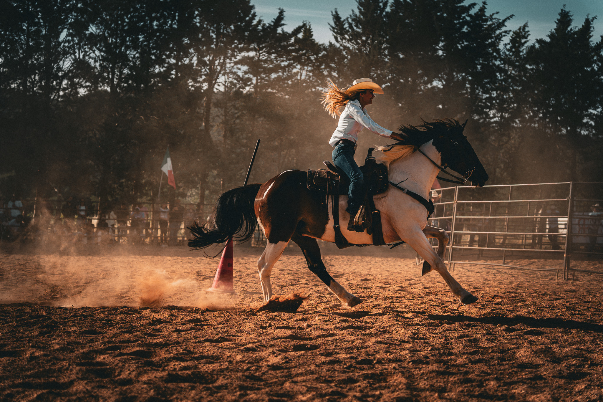 Ropingranch