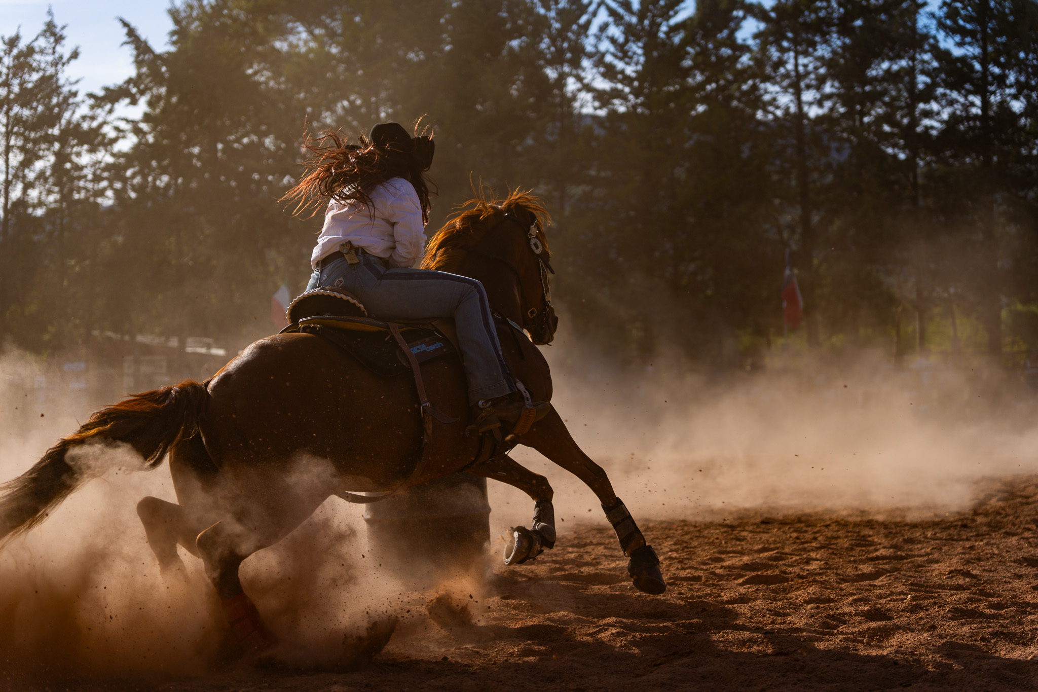 Ropingranch