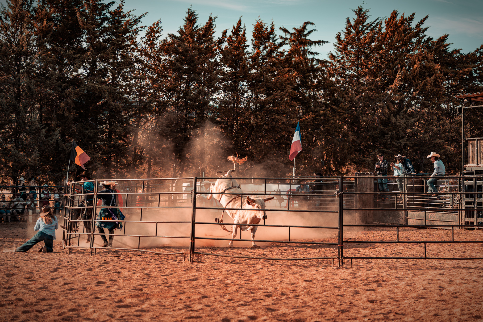 Ropingranch